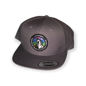 Silver Snapback / Unicorn Search and Reacue Team